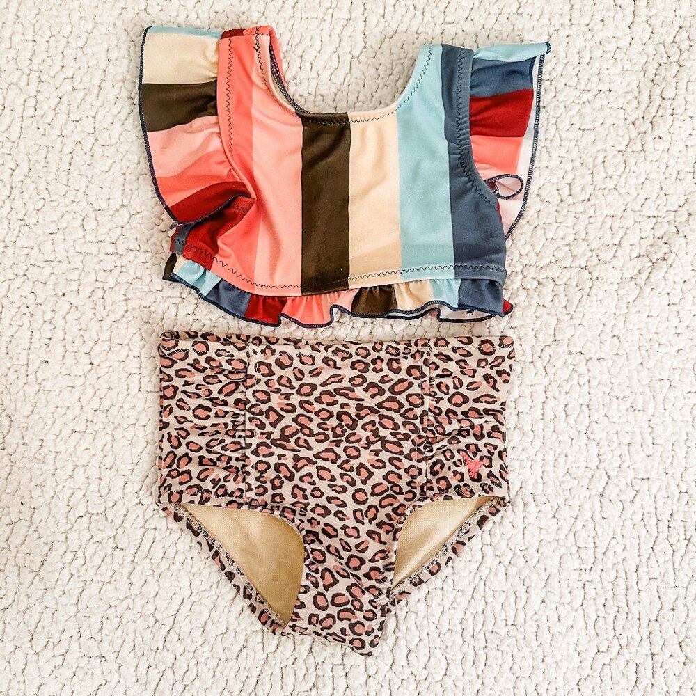 Pink Chicken Tankini Swimsuit in Multi-Wide Stripe